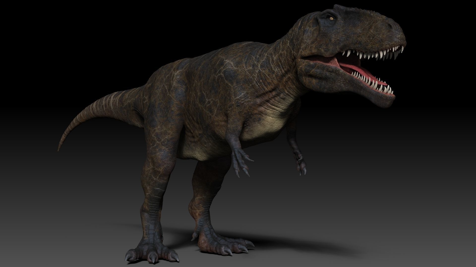 Dinosaur Giganotosaurus Sculpt Project 3D model_8