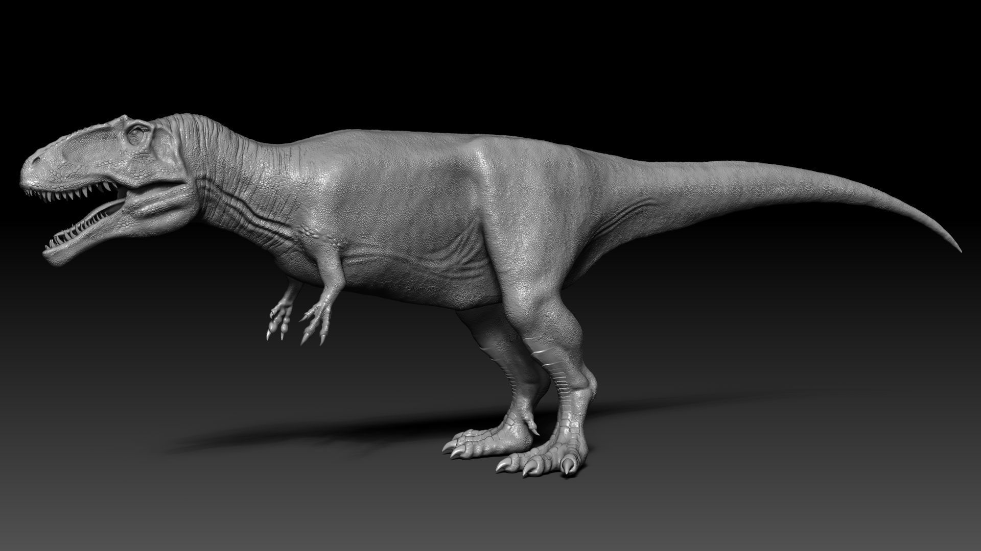 Dinosaur Giganotosaurus Sculpt Project 3D model_2