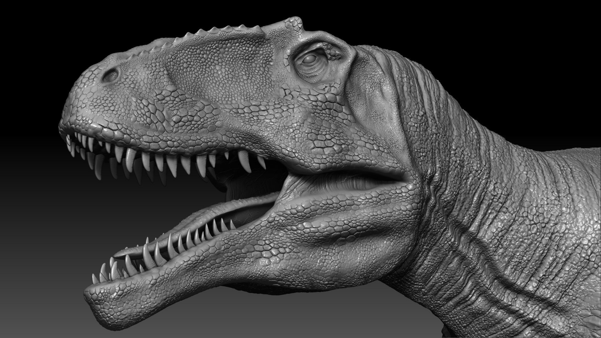 Dinosaur Giganotosaurus Sculpt Project 3D model_16