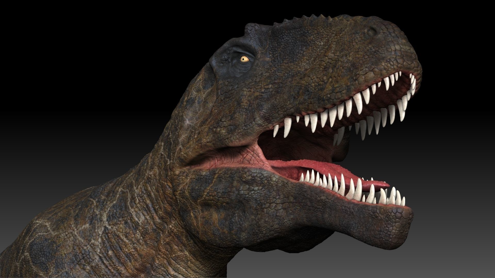 Dinosaur Giganotosaurus Sculpt Project 3D model_14