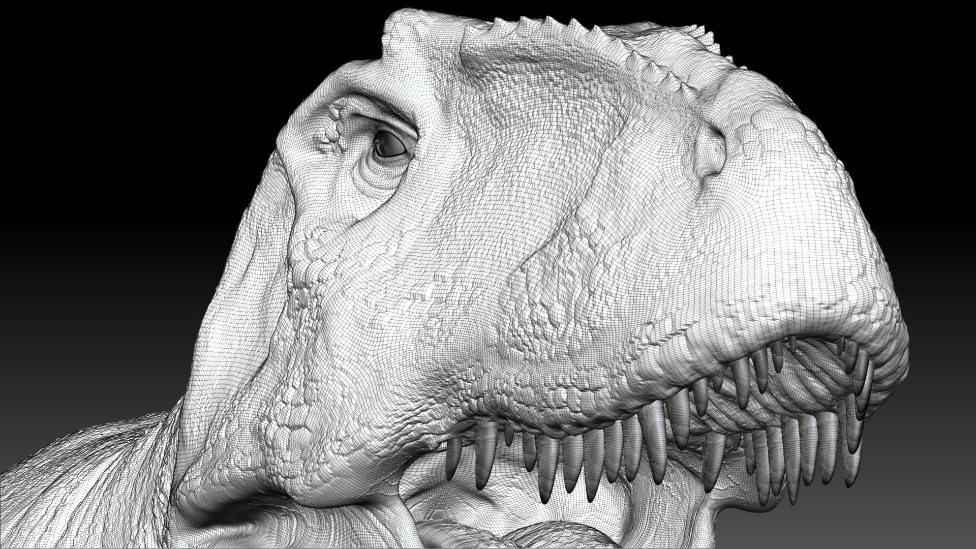 Dinosaur Giganotosaurus Sculpt Project 3D model_19