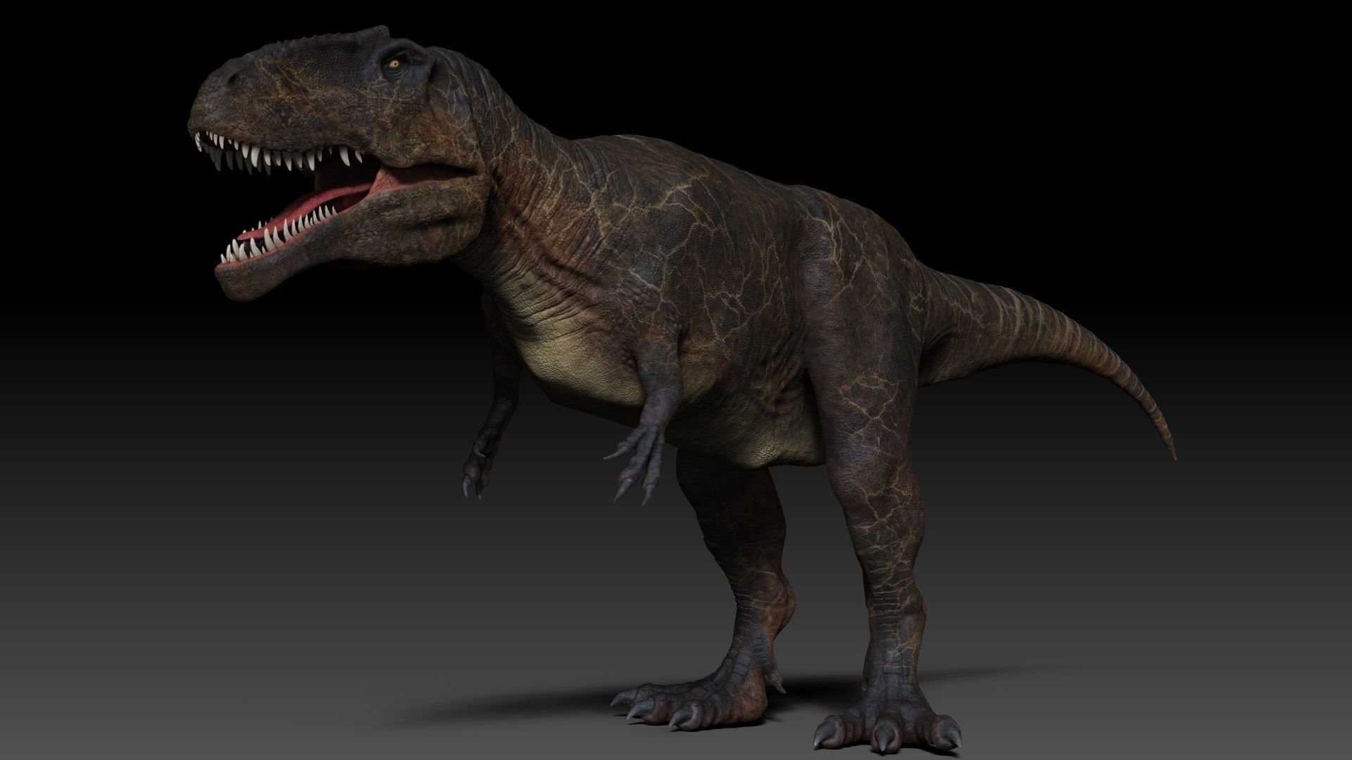 Dinosaur Giganotosaurus Sculpt Project 3D model_17