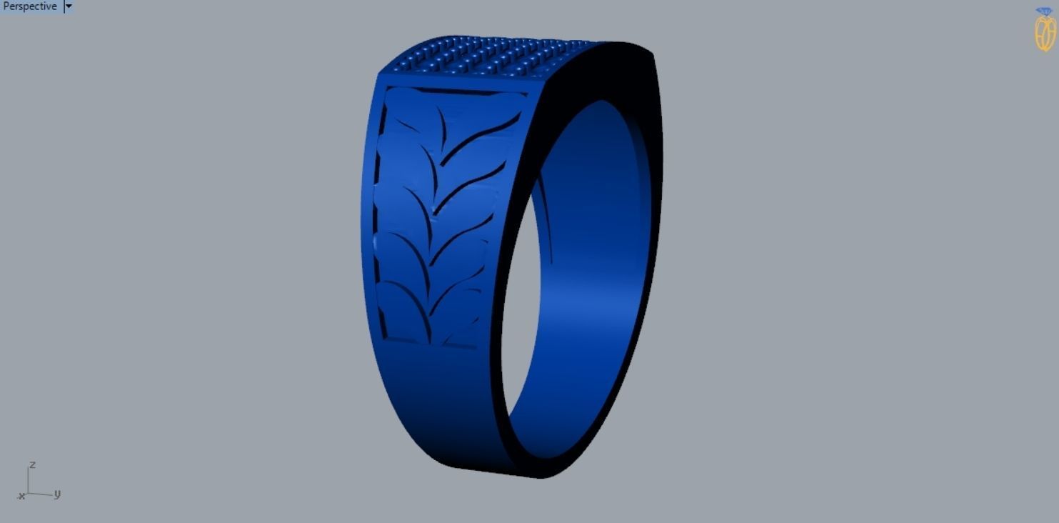 Signet Ring R 158 3D print model_6