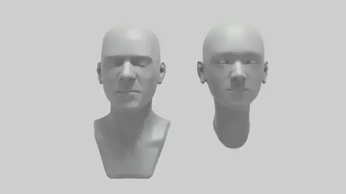 Male Female head Free 3D model