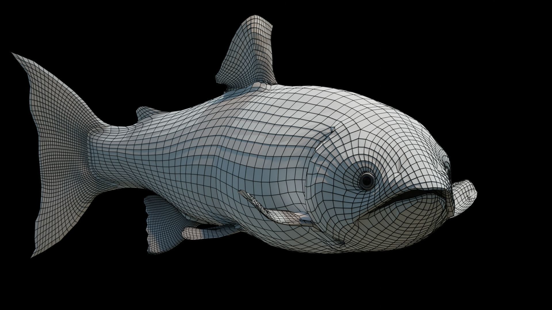 Chinook Salmon Low-poly 3D model_13