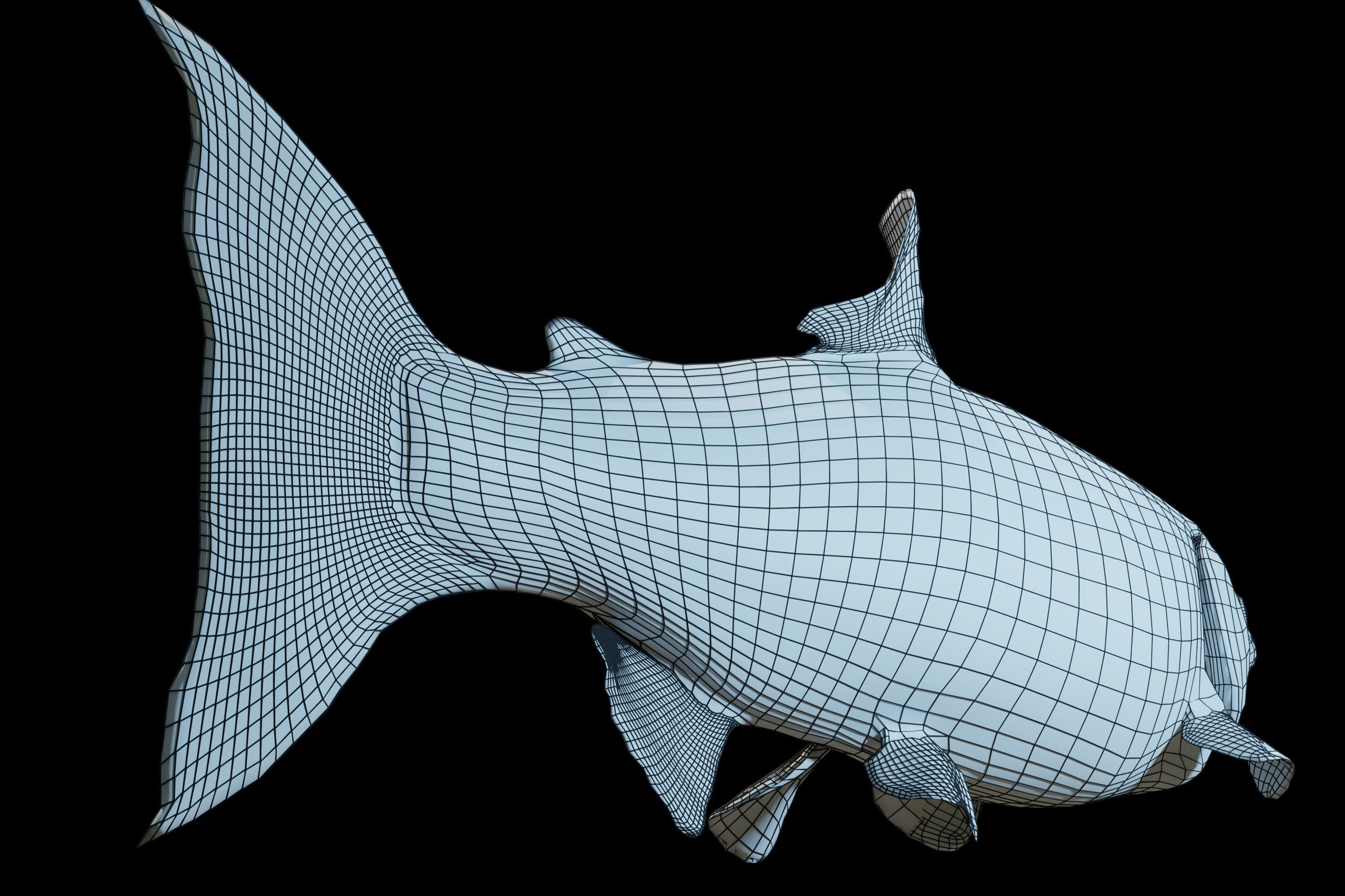 Chinook Salmon Low-poly 3D model_11