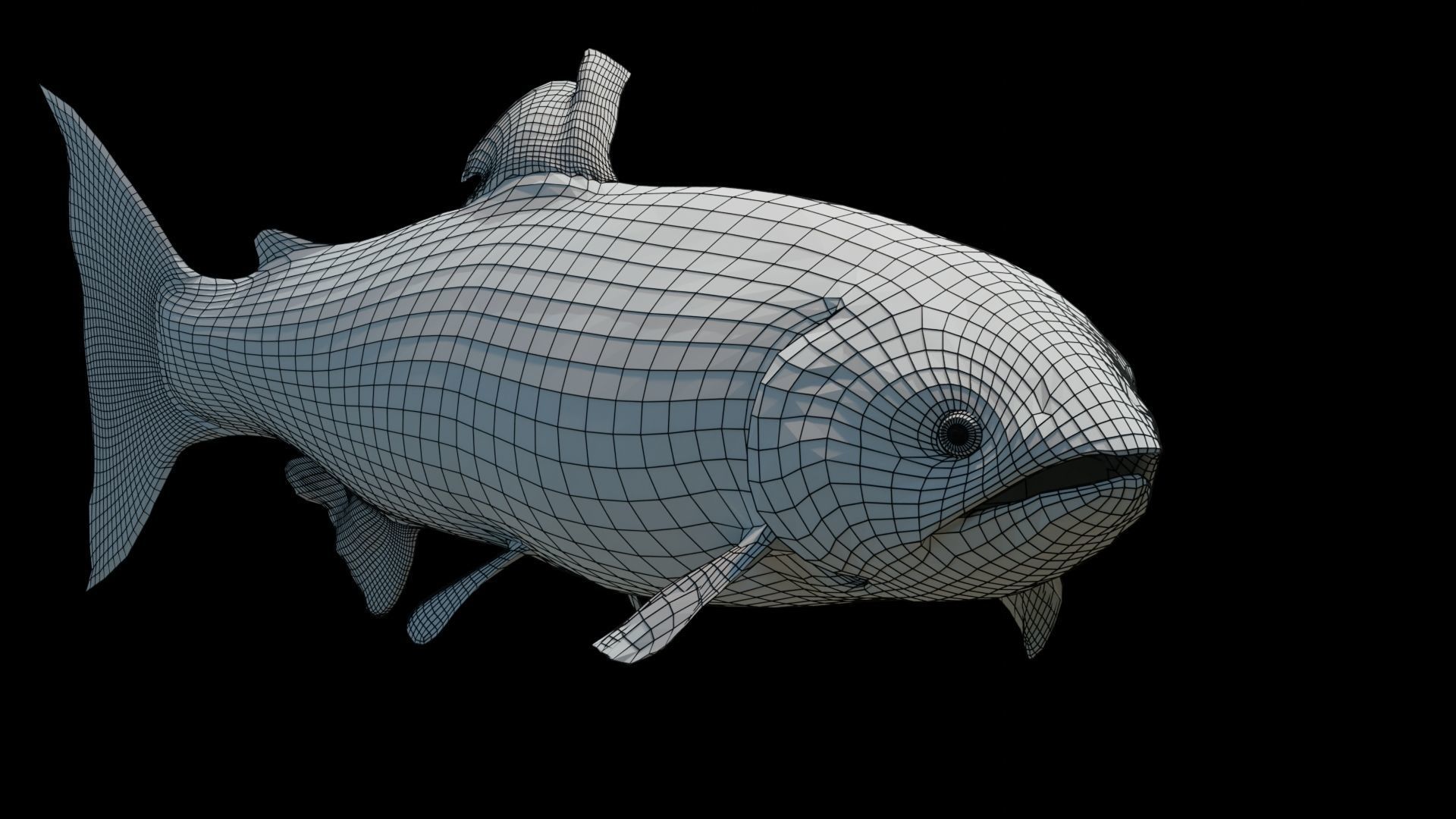 Chinook Salmon Low-poly 3D model_7