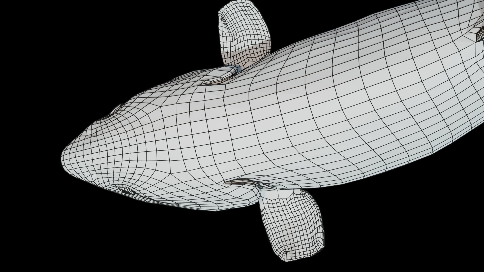 Chinook Salmon Low-poly 3D model_9