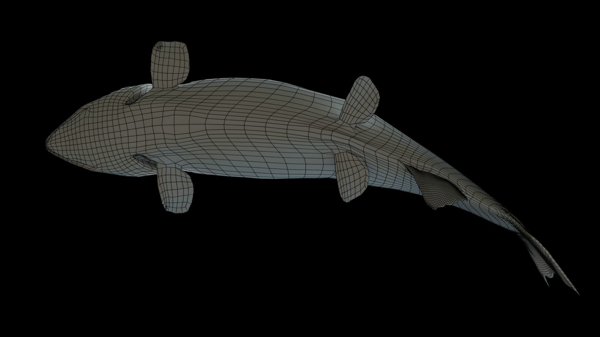 Chinook Salmon Low-poly 3D model_15