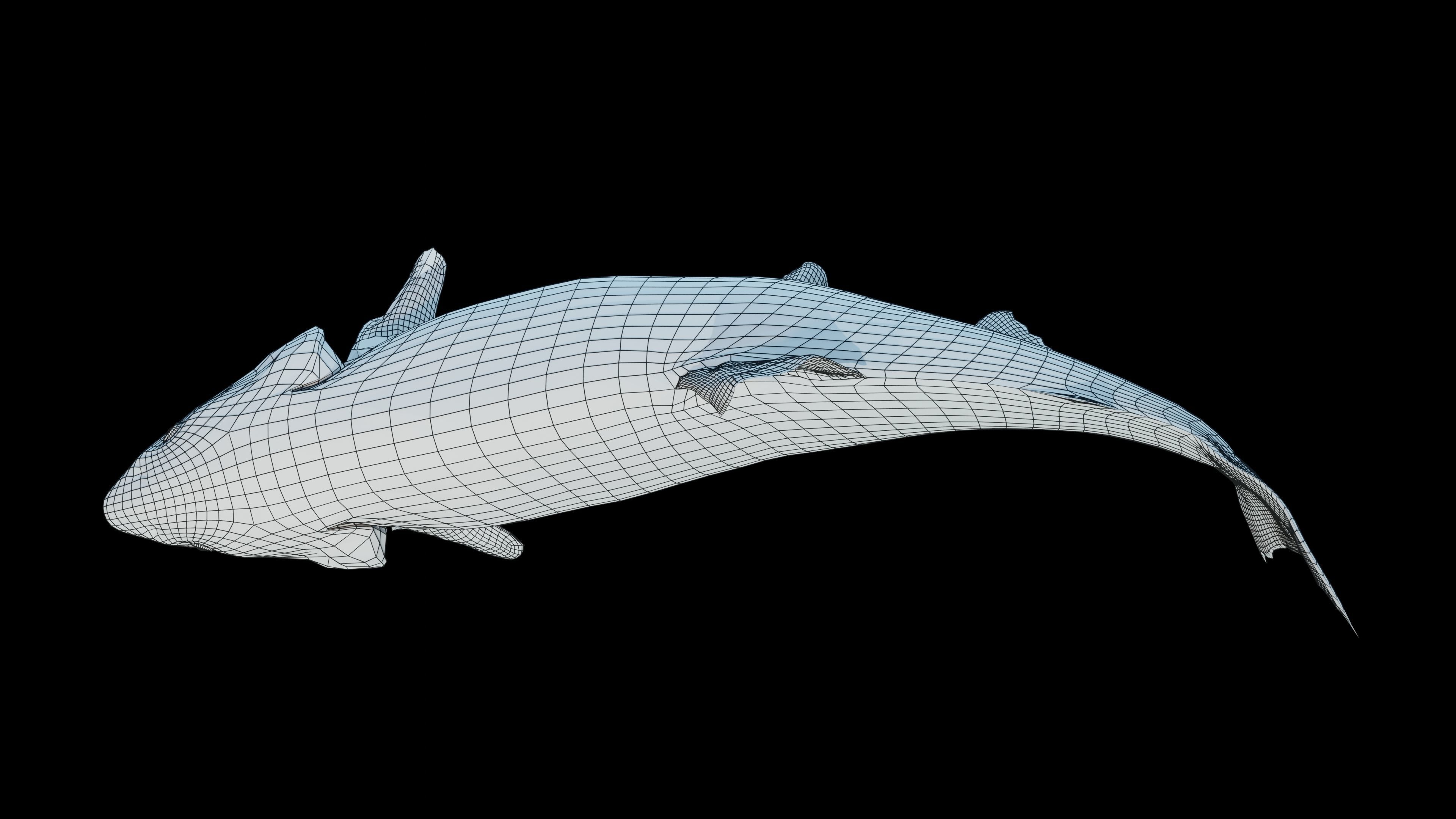 Chinook Salmon Low-poly 3D model_5