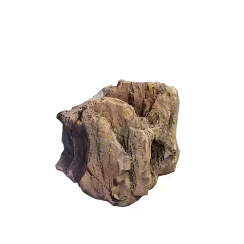 Petrified Wood 2