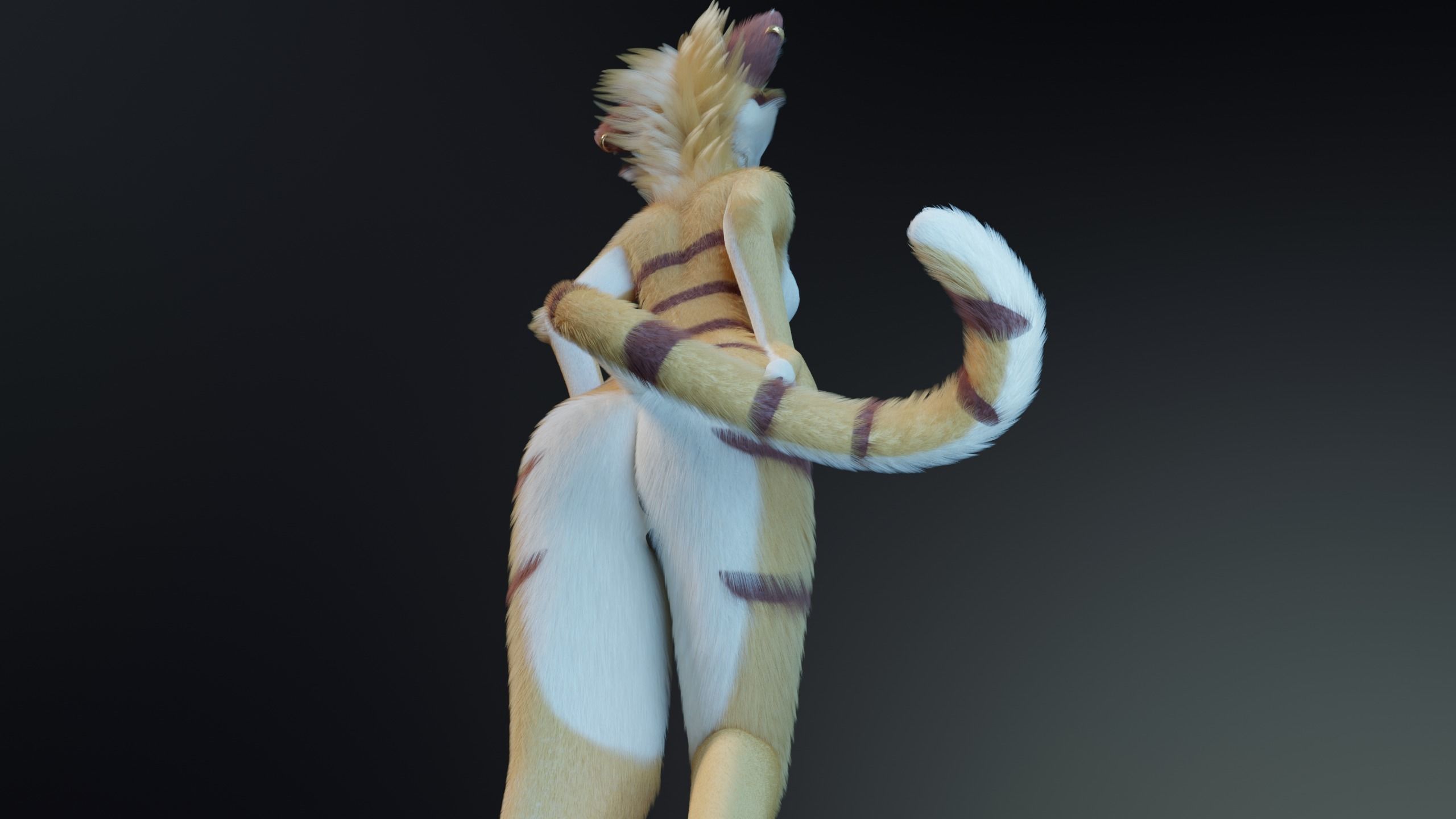 Aurora Anthro Cat 3D model_19