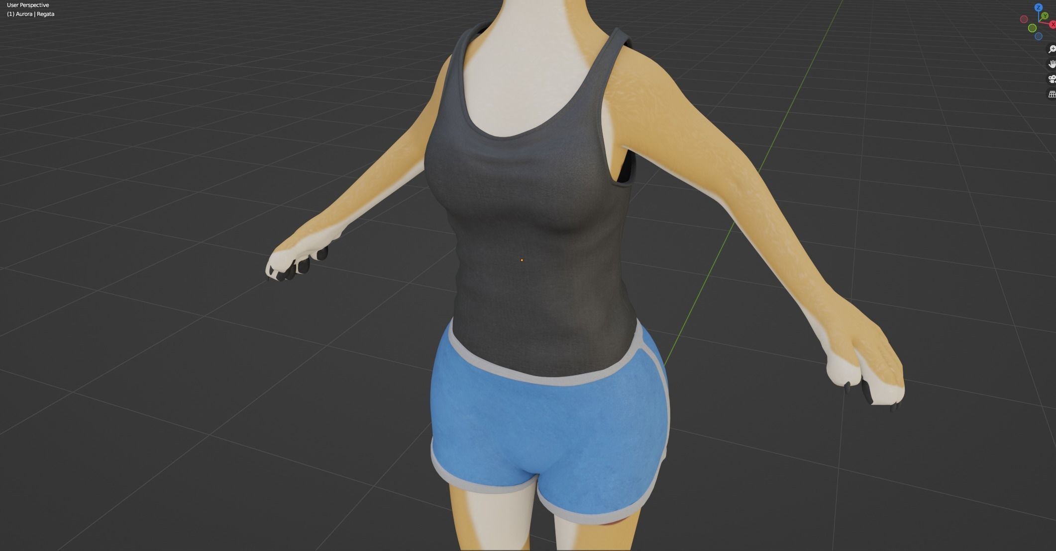 Aurora Anthro Cat 3D model_77