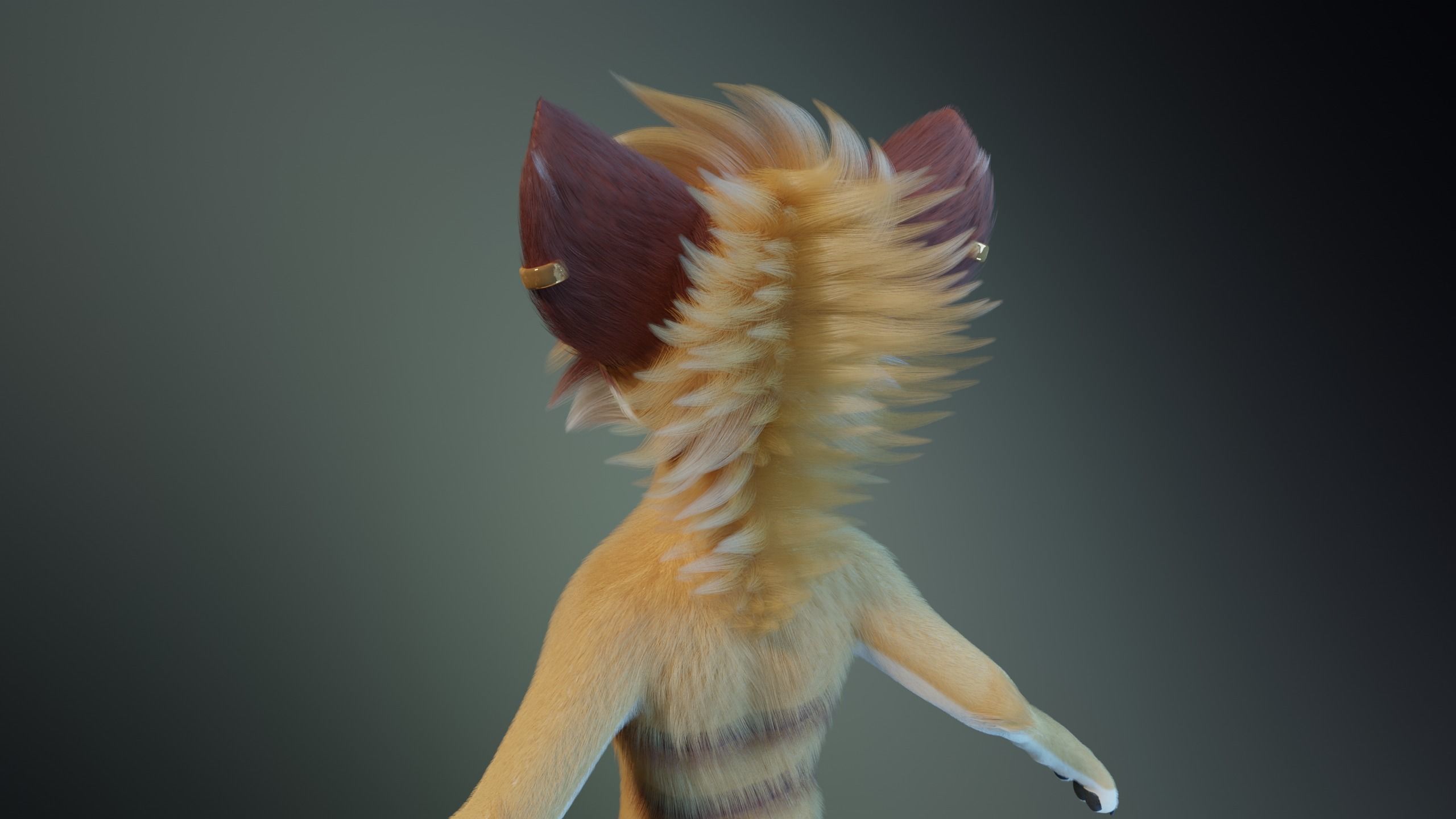 Aurora Anthro Cat 3D model_5