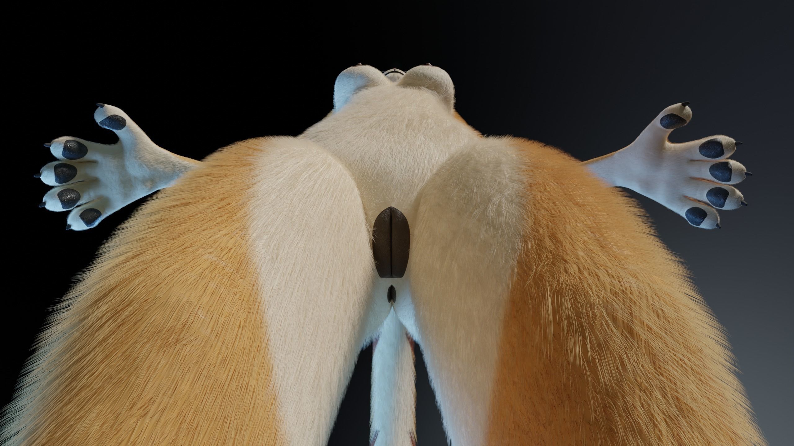 Aurora Anthro Cat 3D model_13