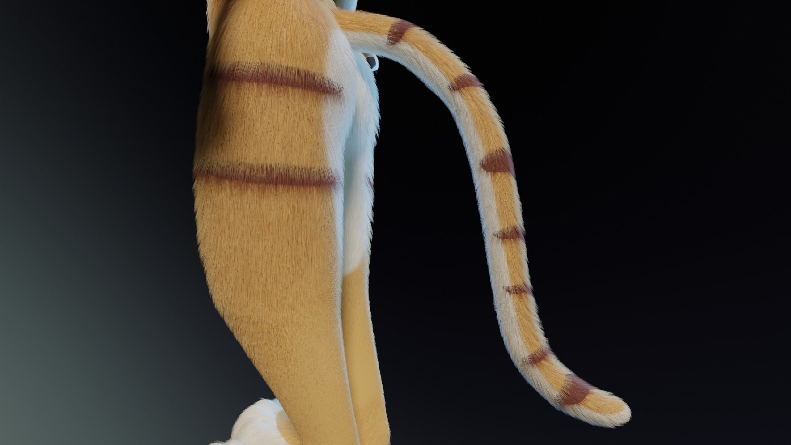 Aurora Anthro Cat 3D model_8