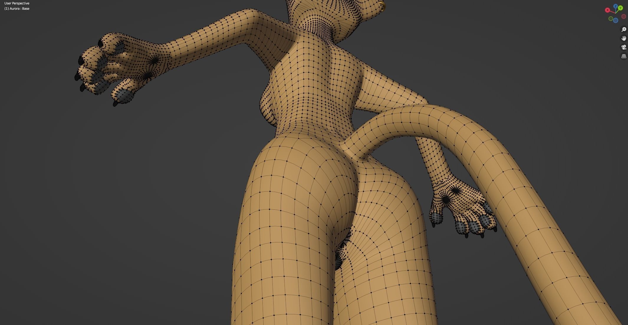 Aurora Anthro Cat 3D model_58