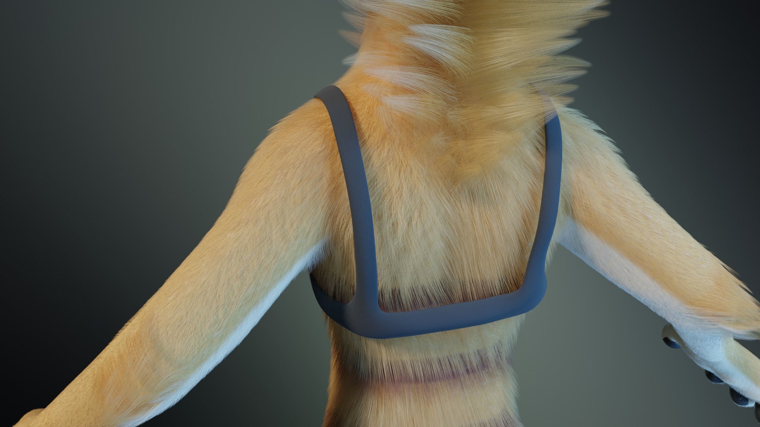 Aurora Anthro Cat 3D model_23