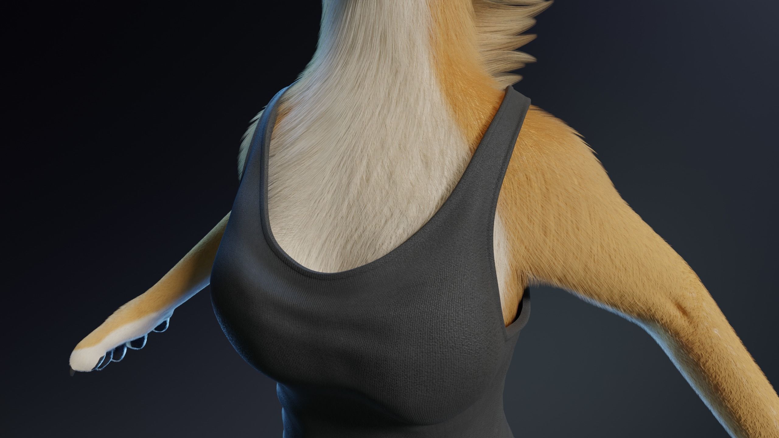 Aurora Anthro Cat 3D model_28