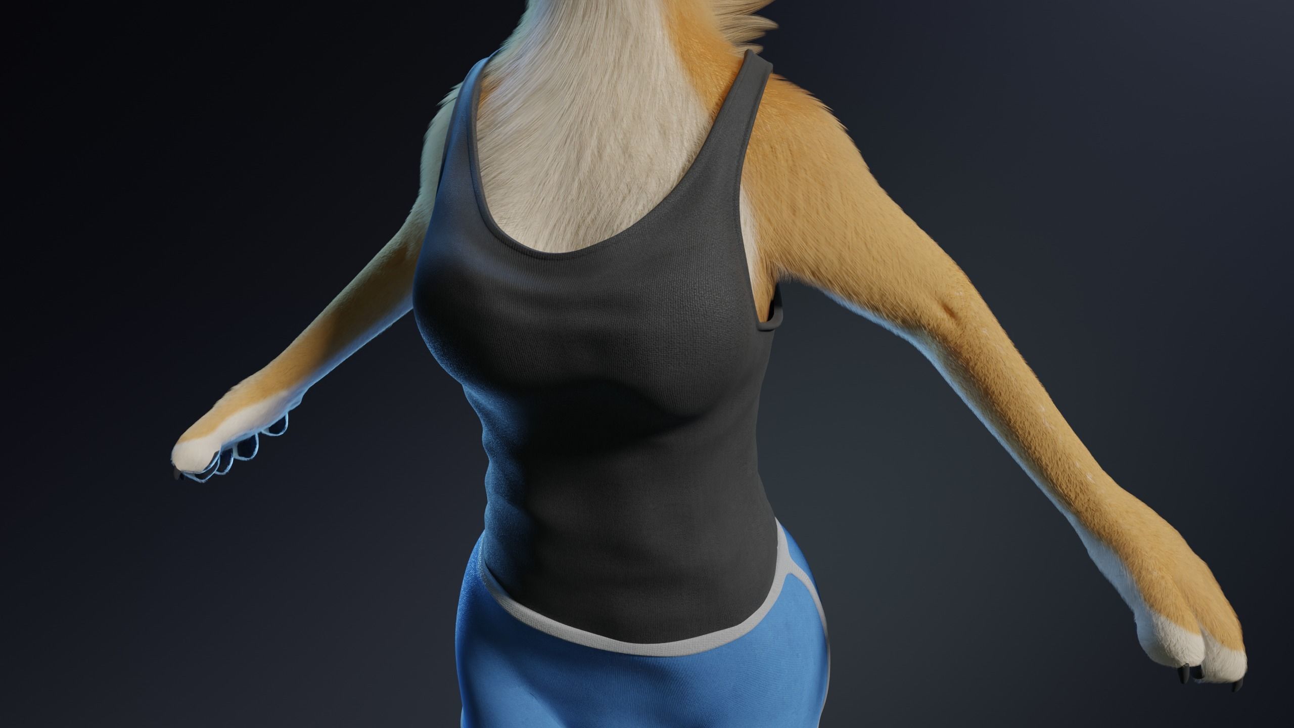 Aurora Anthro Cat 3D model_26