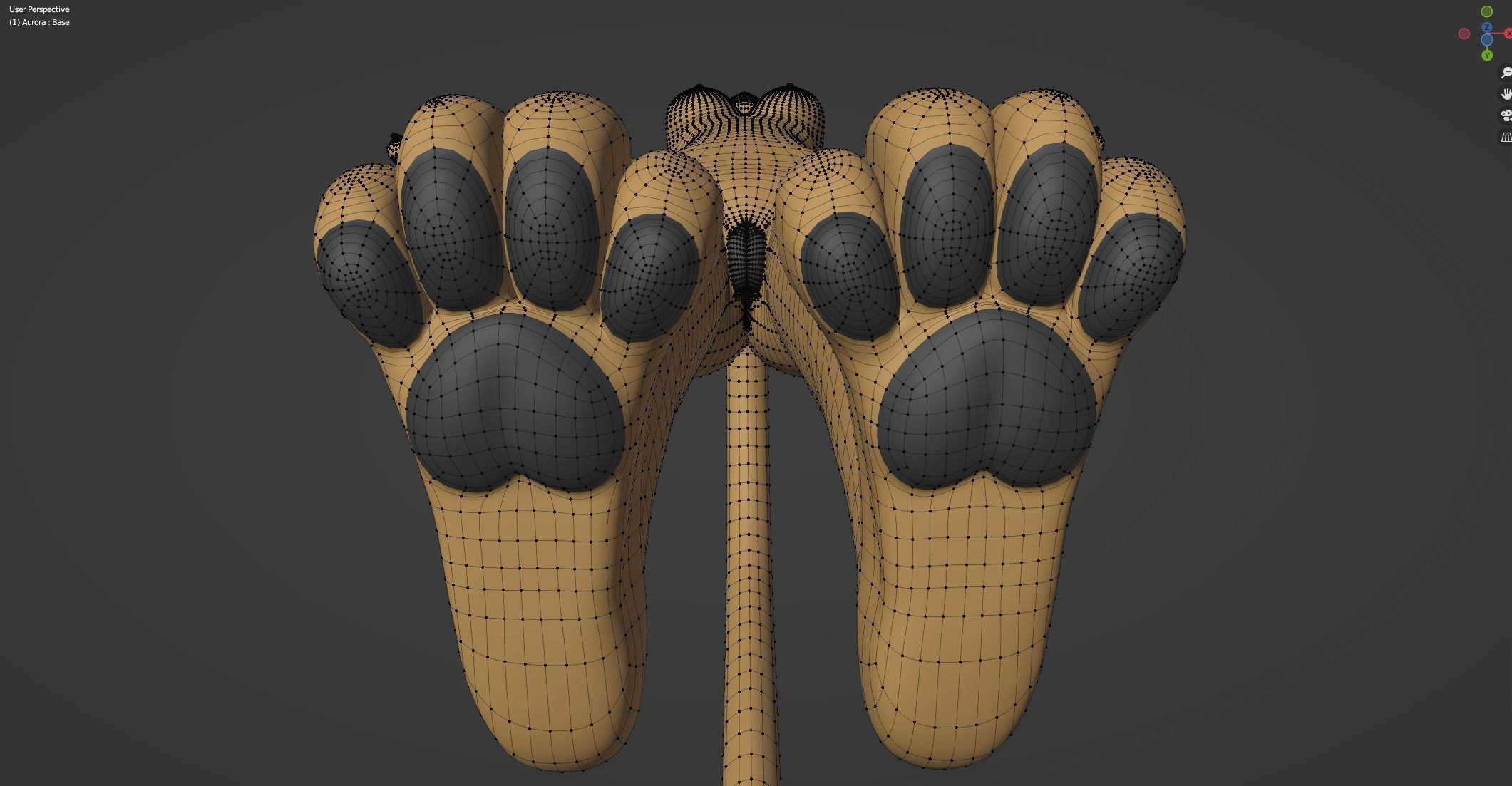 Aurora Anthro Cat 3D model_64