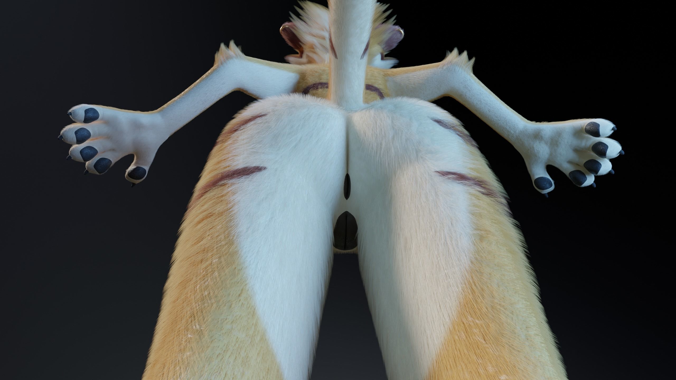 Aurora Anthro Cat 3D model_14