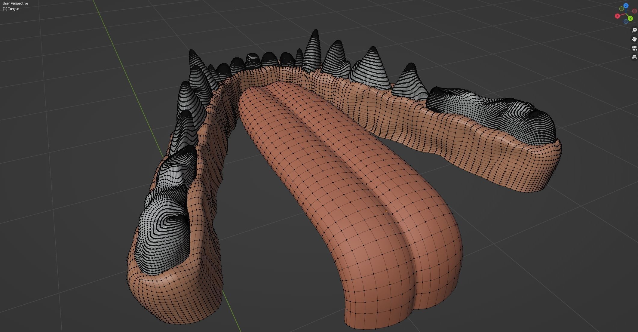 Aurora Anthro Cat 3D model_85