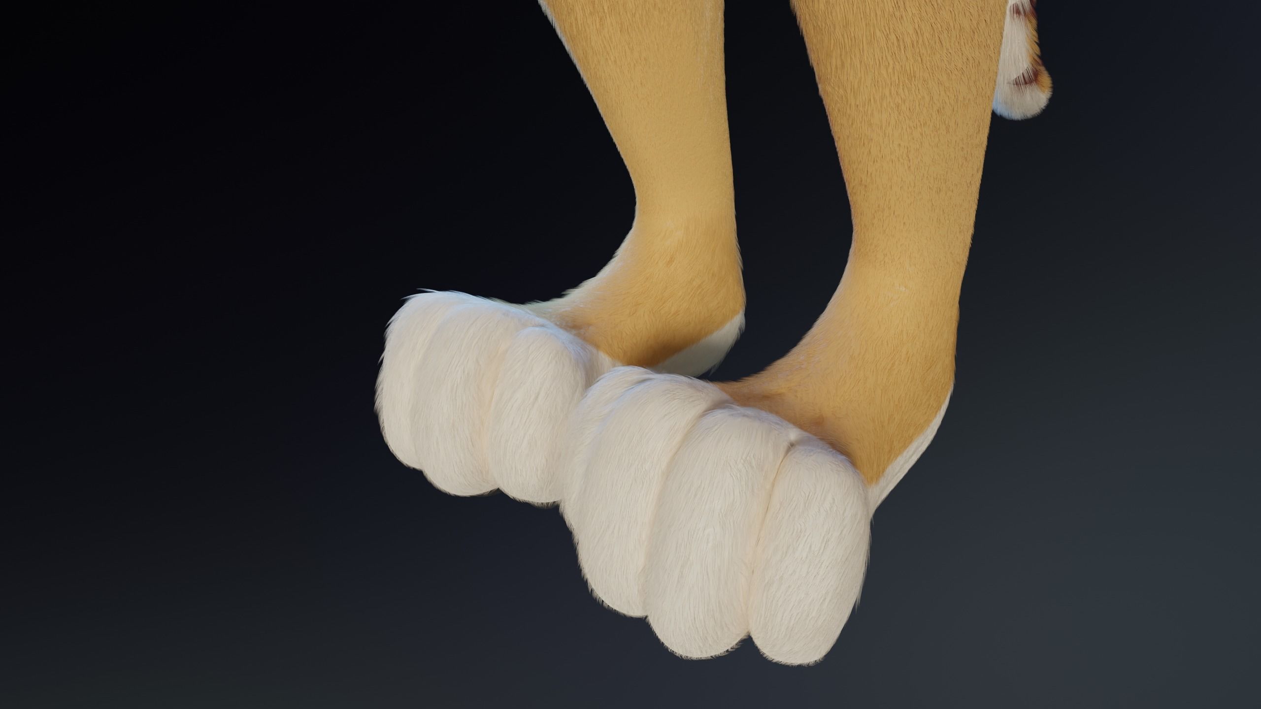 Aurora Anthro Cat 3D model_11