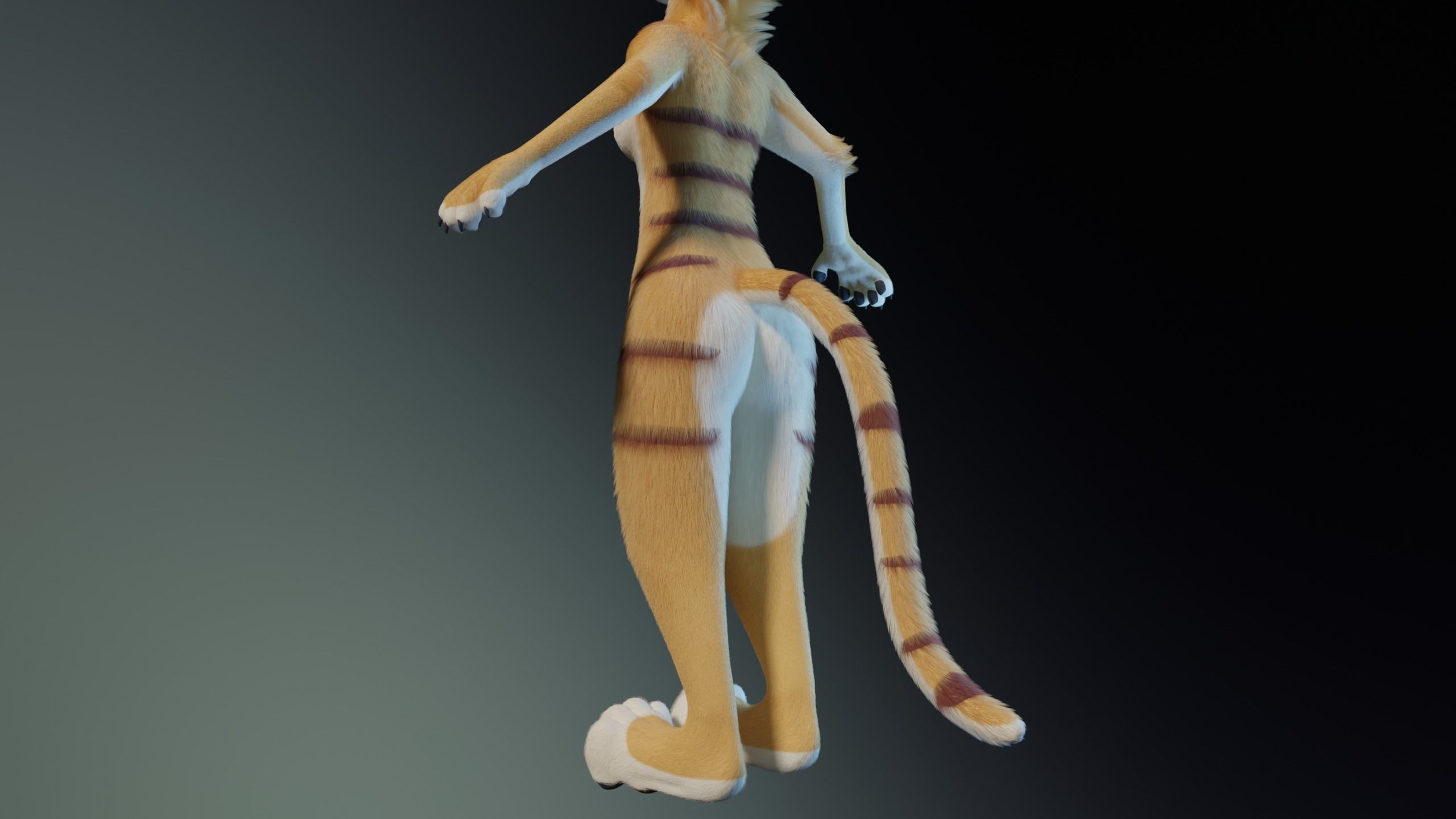 Aurora Anthro Cat 3D model_7