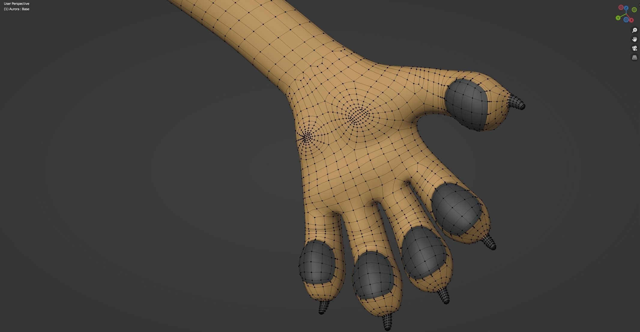 Aurora Anthro Cat 3D model_60