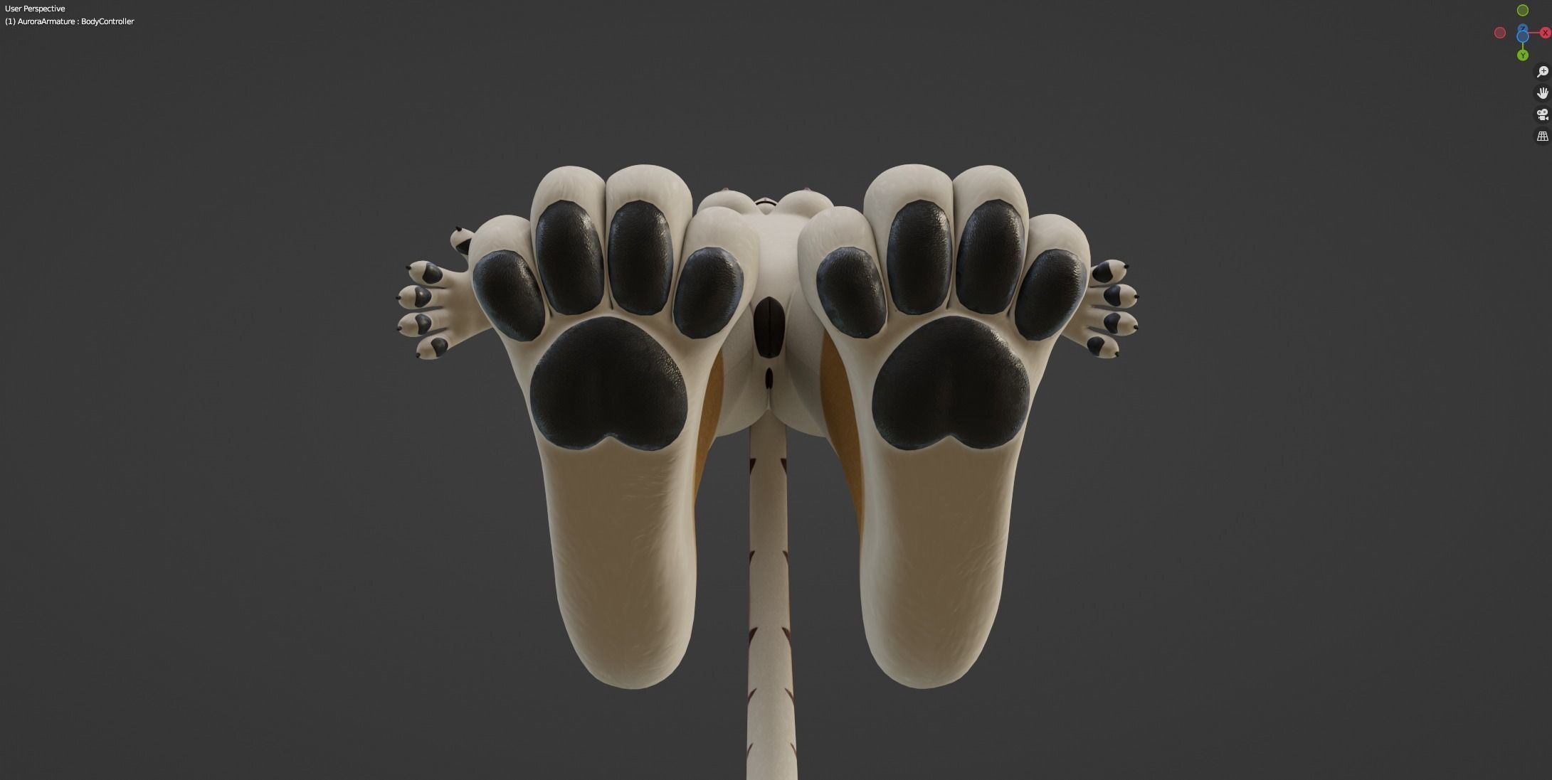 Aurora Anthro Cat 3D model_51