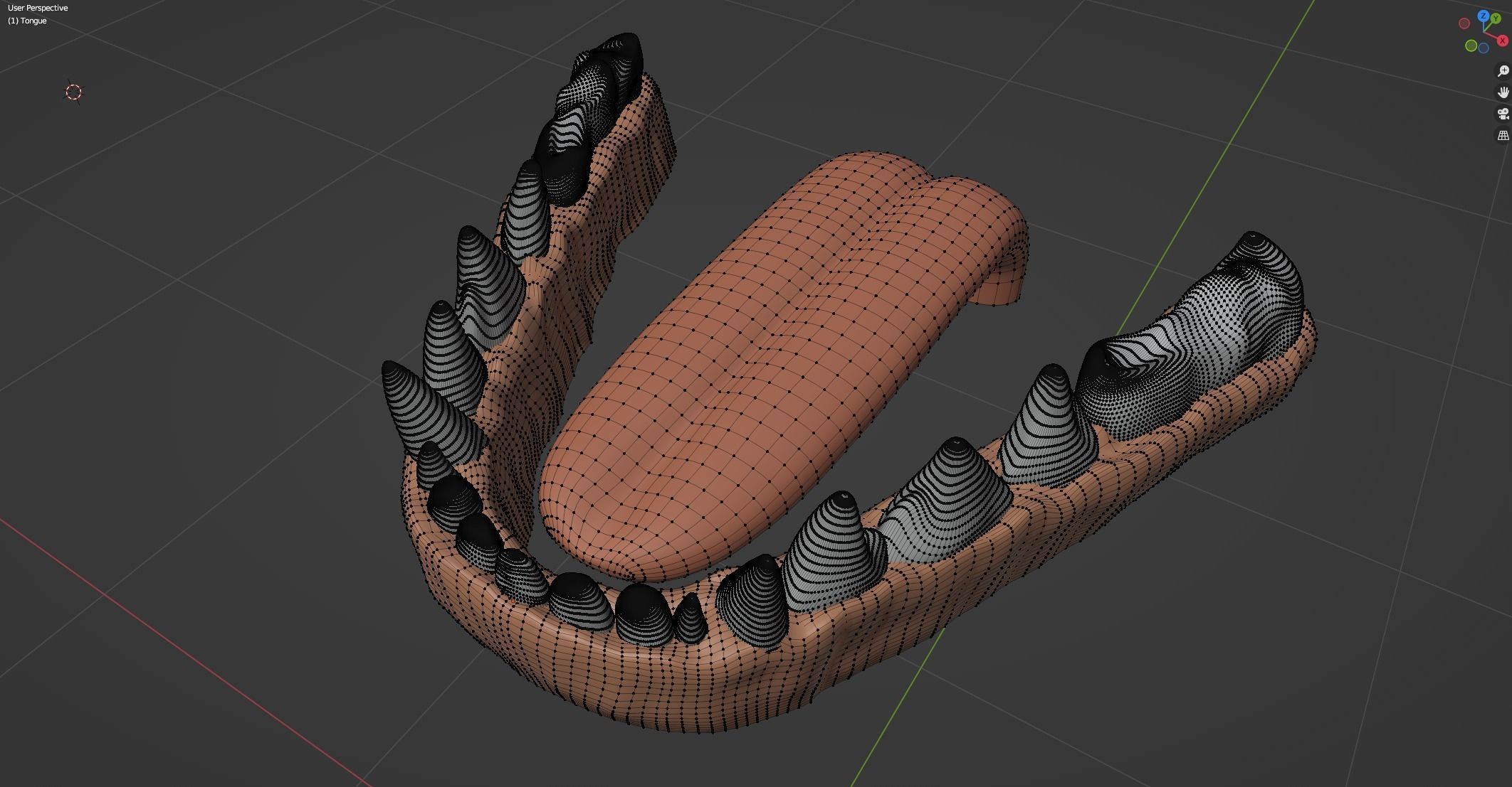 Aurora Anthro Cat 3D model_84