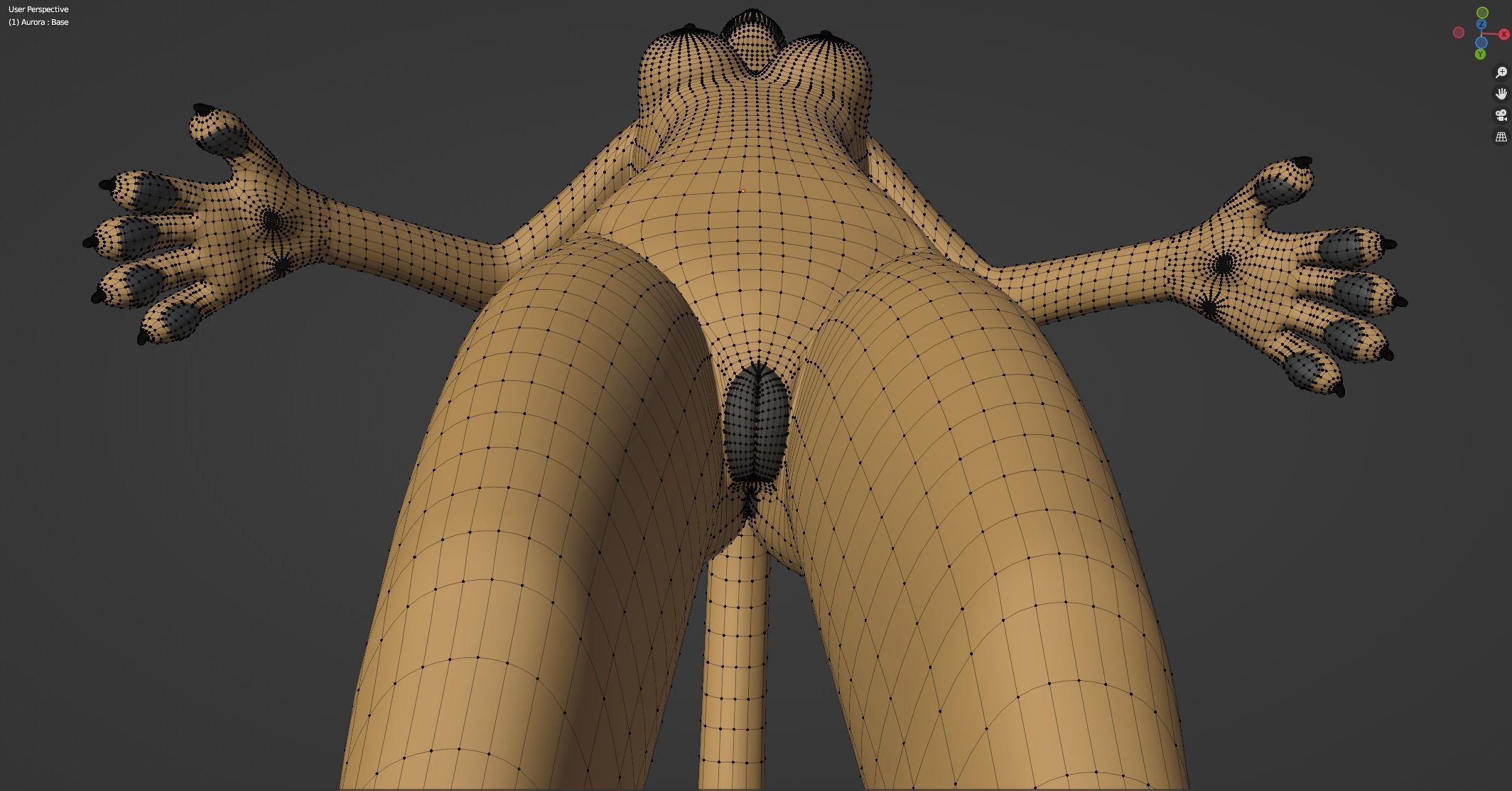 Aurora Anthro Cat 3D model_61