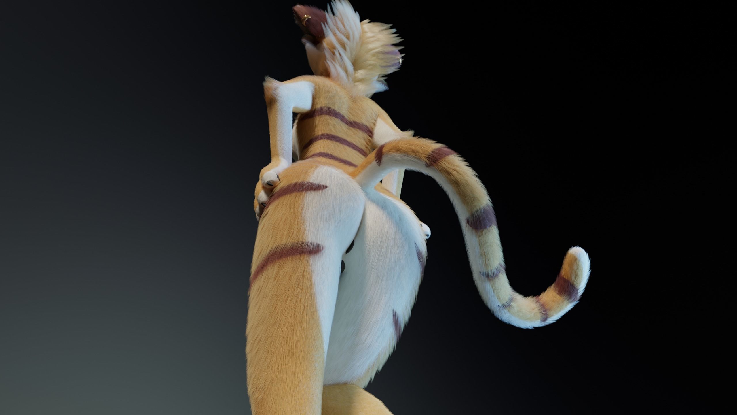 Aurora Anthro Cat 3D model_18