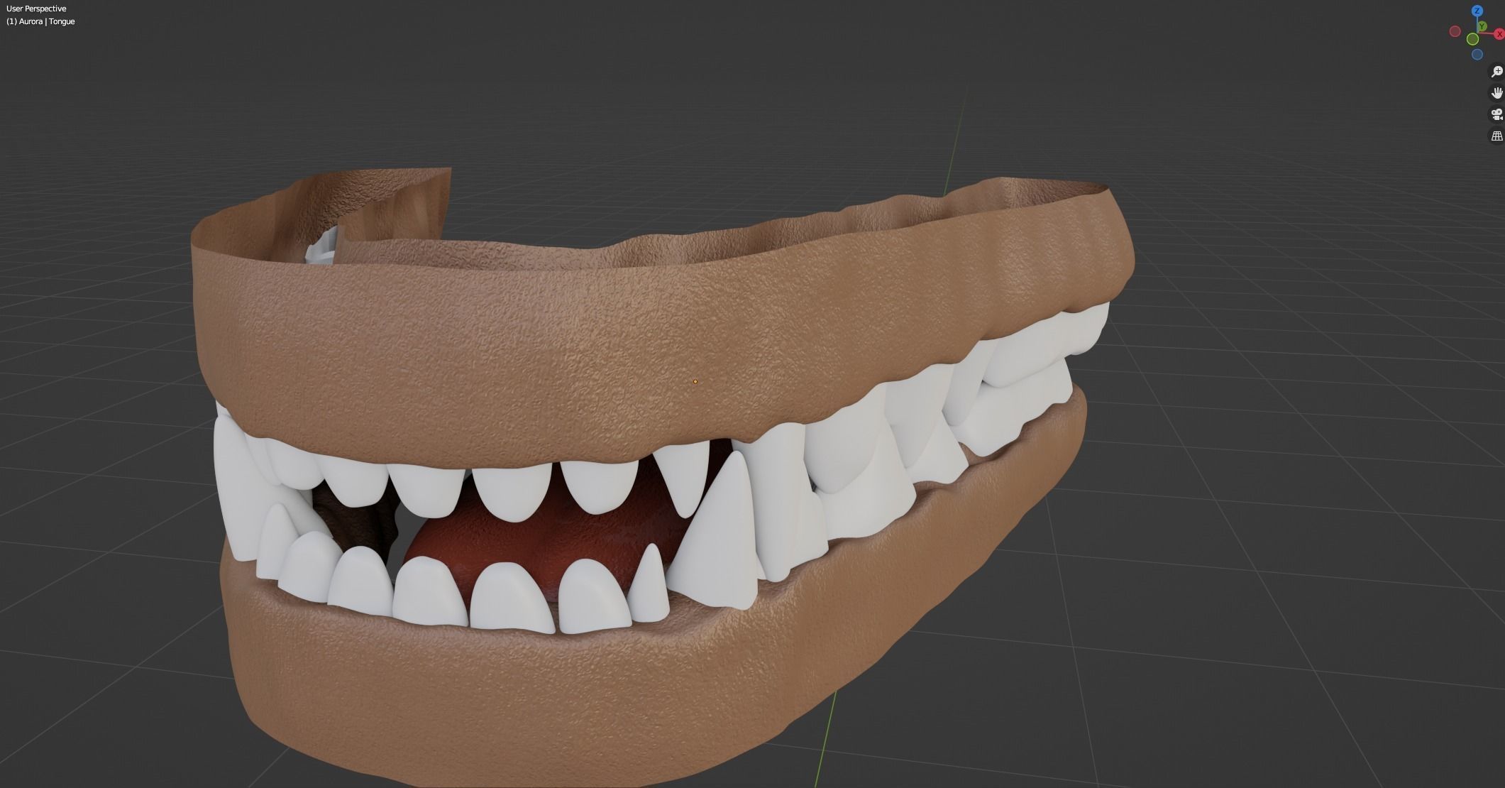 Aurora Anthro Cat 3D model_82