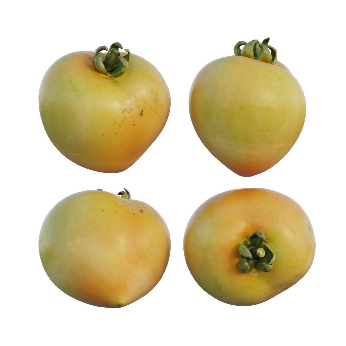 Tomato 01 3D model_3