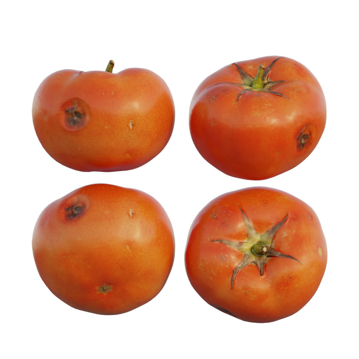 Tomato 01 3D model_1