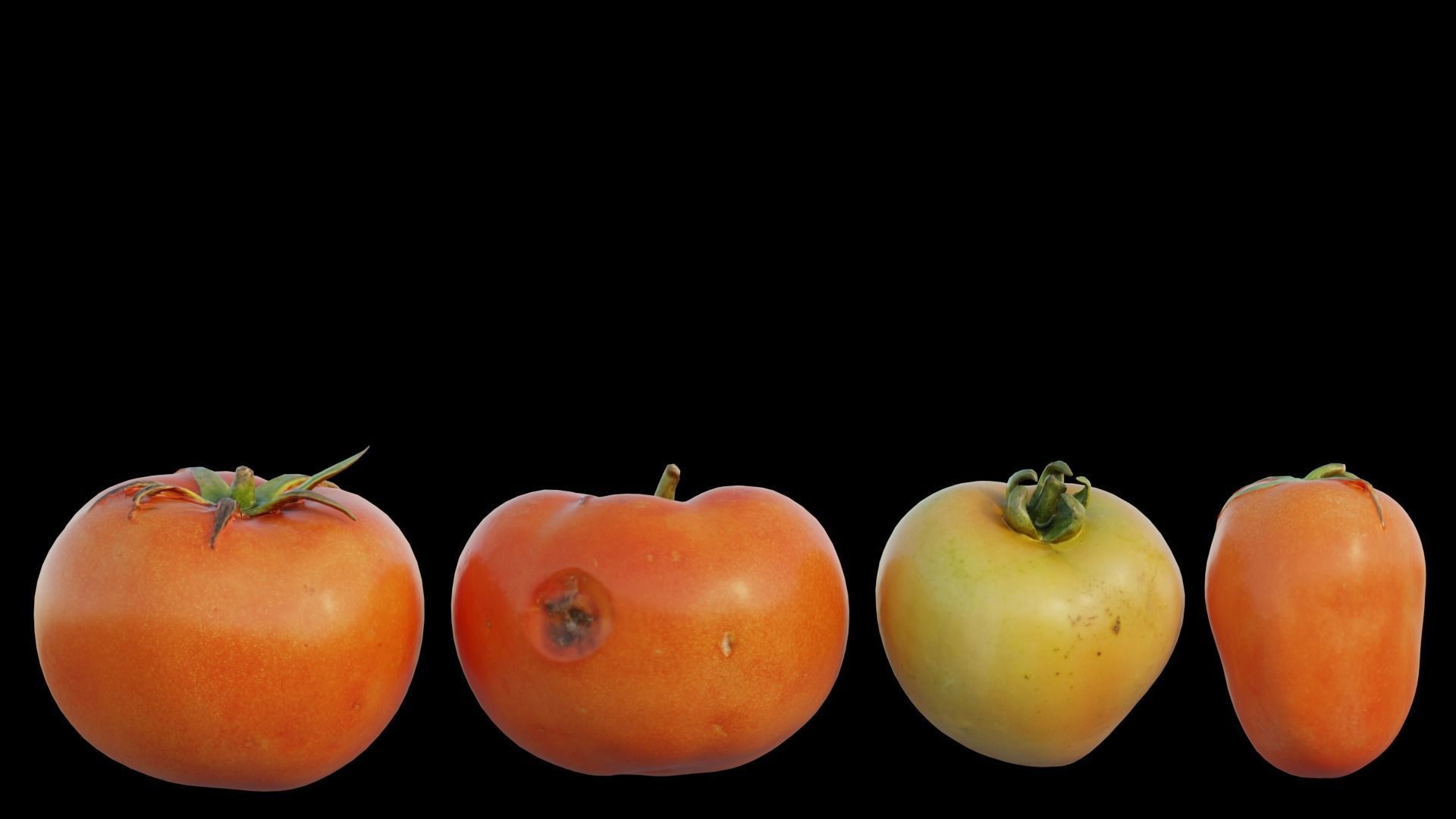 Tomato 01 3D model_8