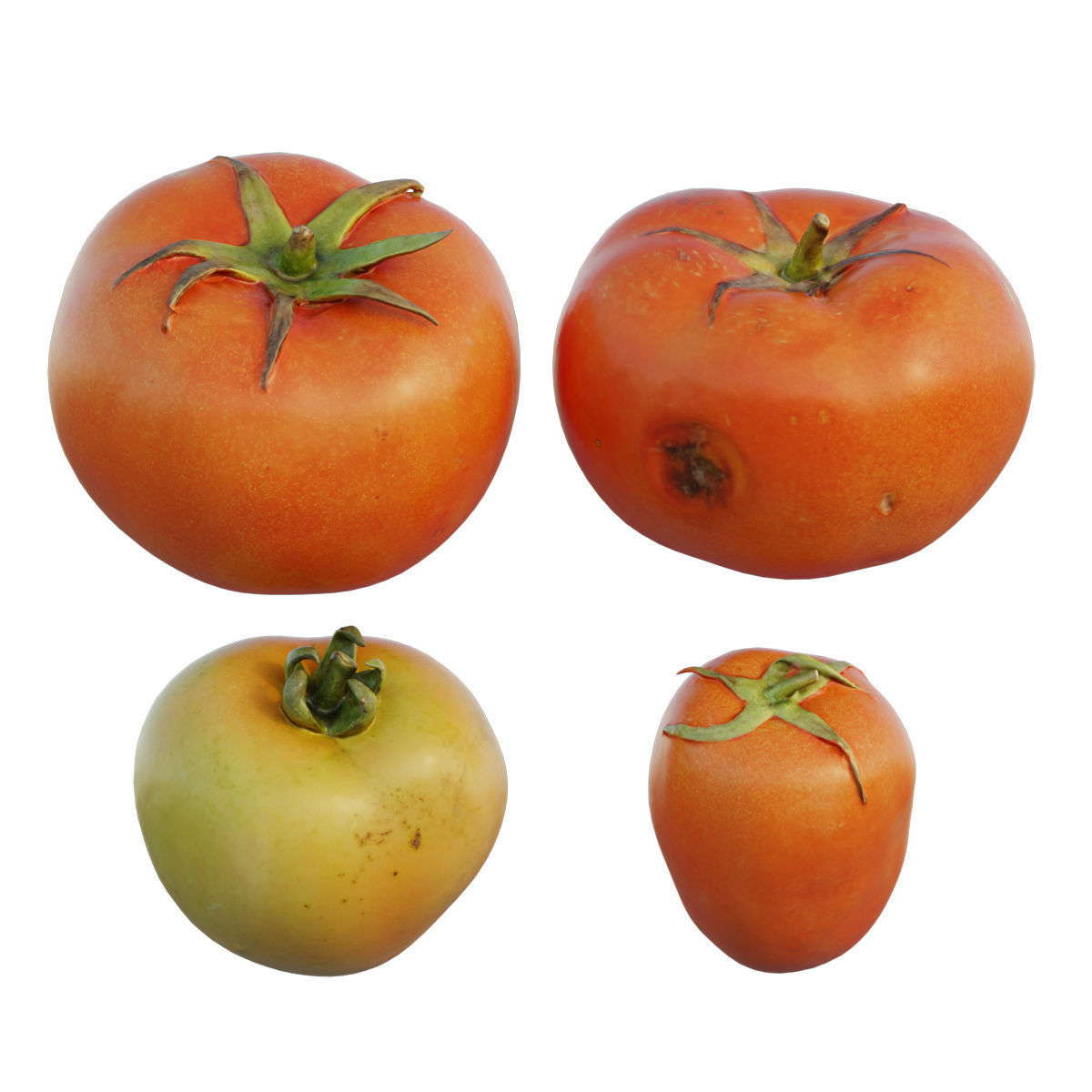 Tomato 01 3D model_7