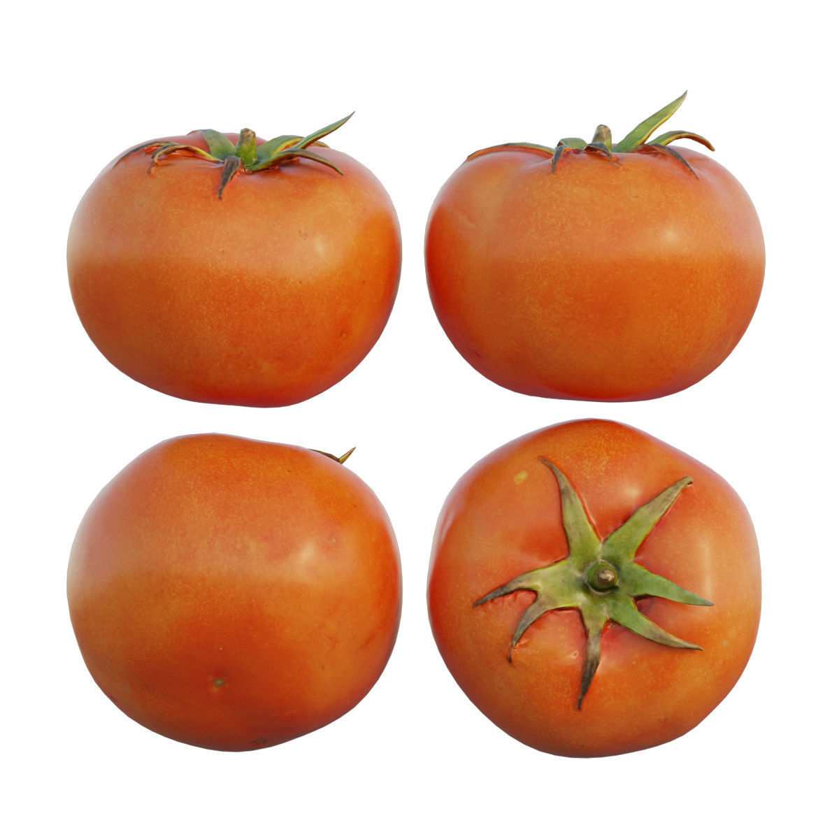 Tomato 01 3D model_6
