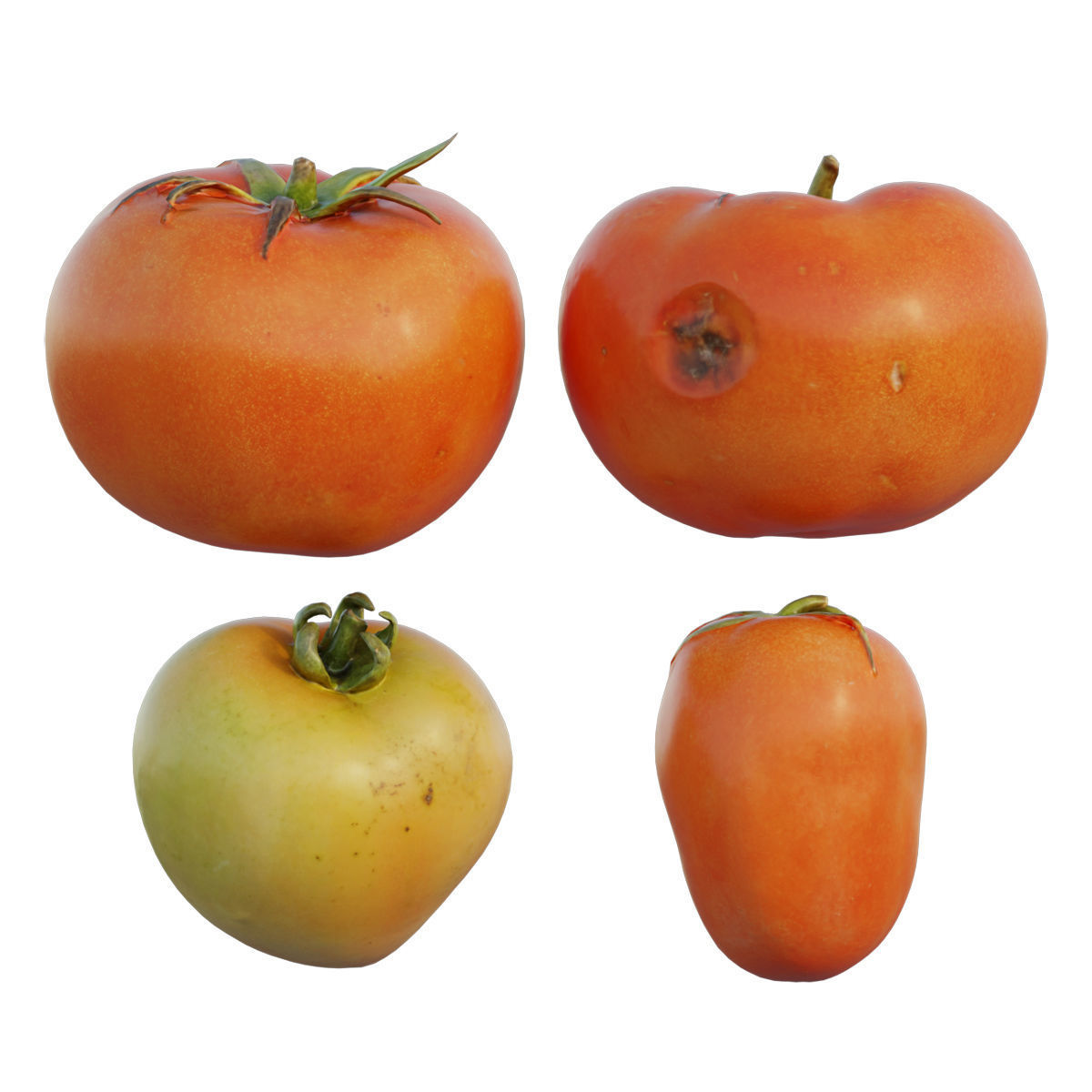 Tomato 01 3D model_2