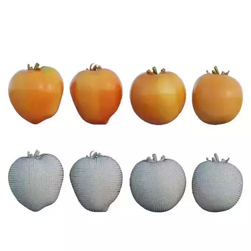 Tomato 02
