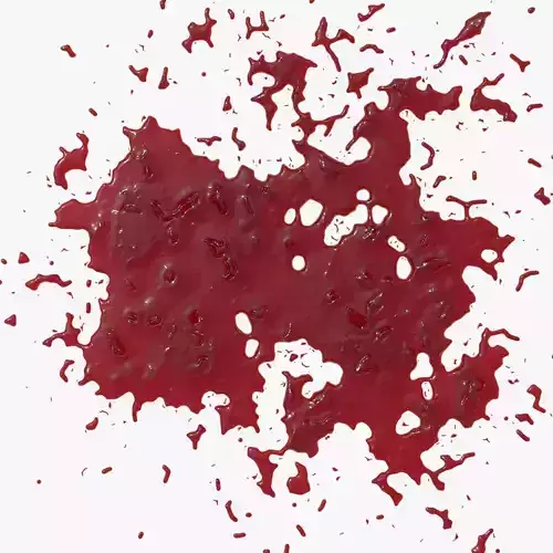Blood Stain 12 3D model