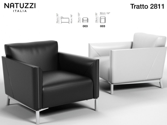 Armchair TRATOO NATUZZI