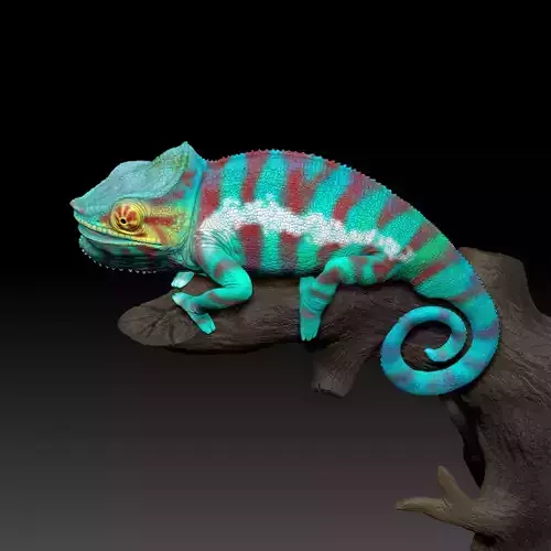 Chamaeleon Furcifer pardalis 3D Print Model