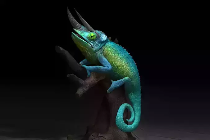 Three-horned chameleon Trioceros jackonii 3D print model