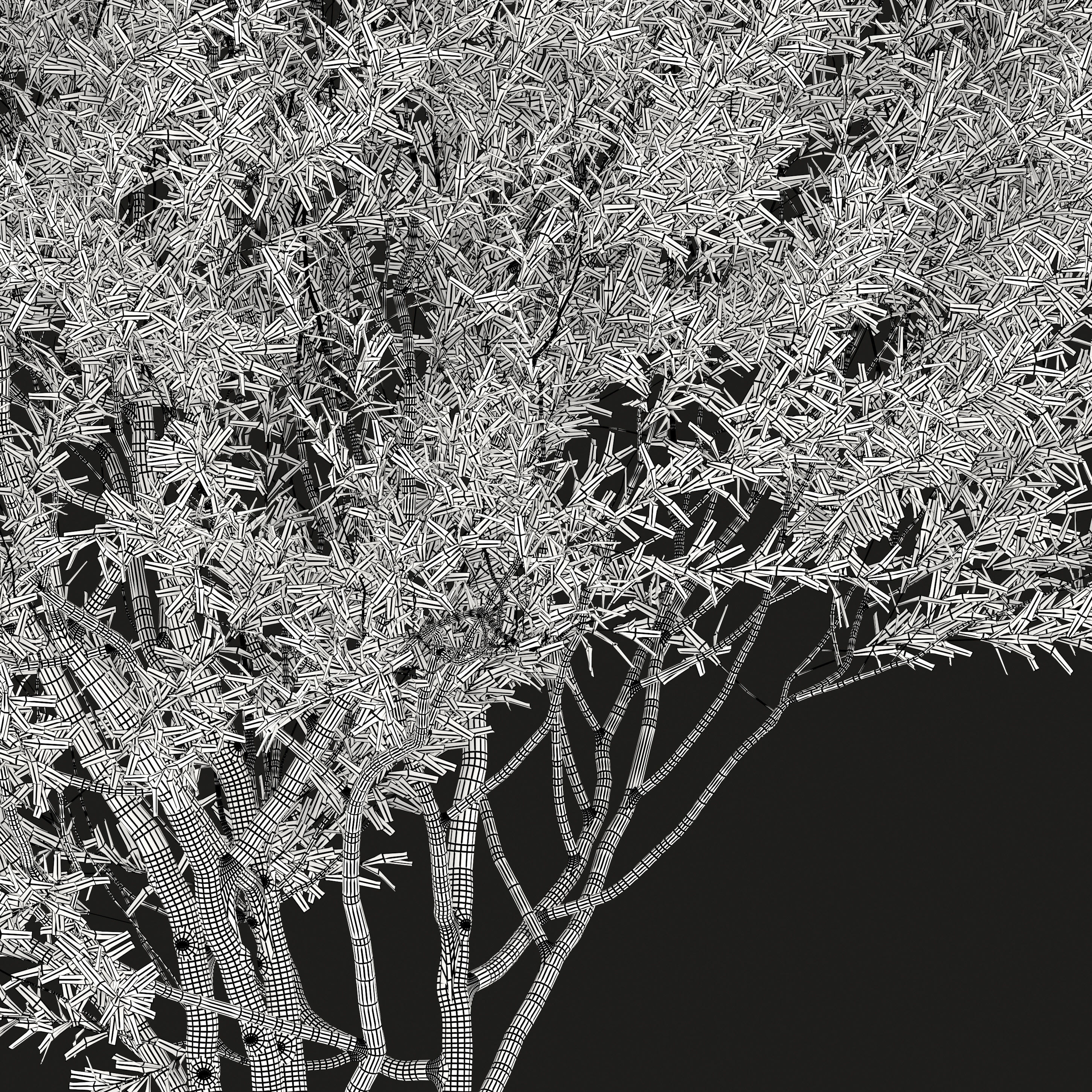 Black willow 3D model_7