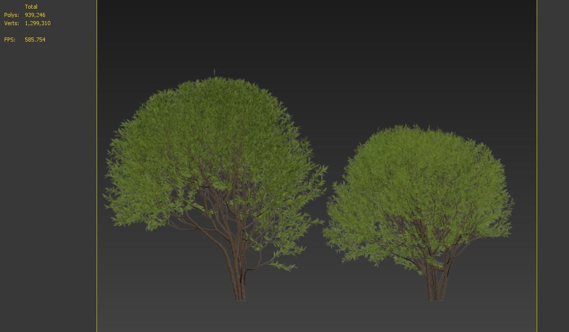Black willow 3D model_8