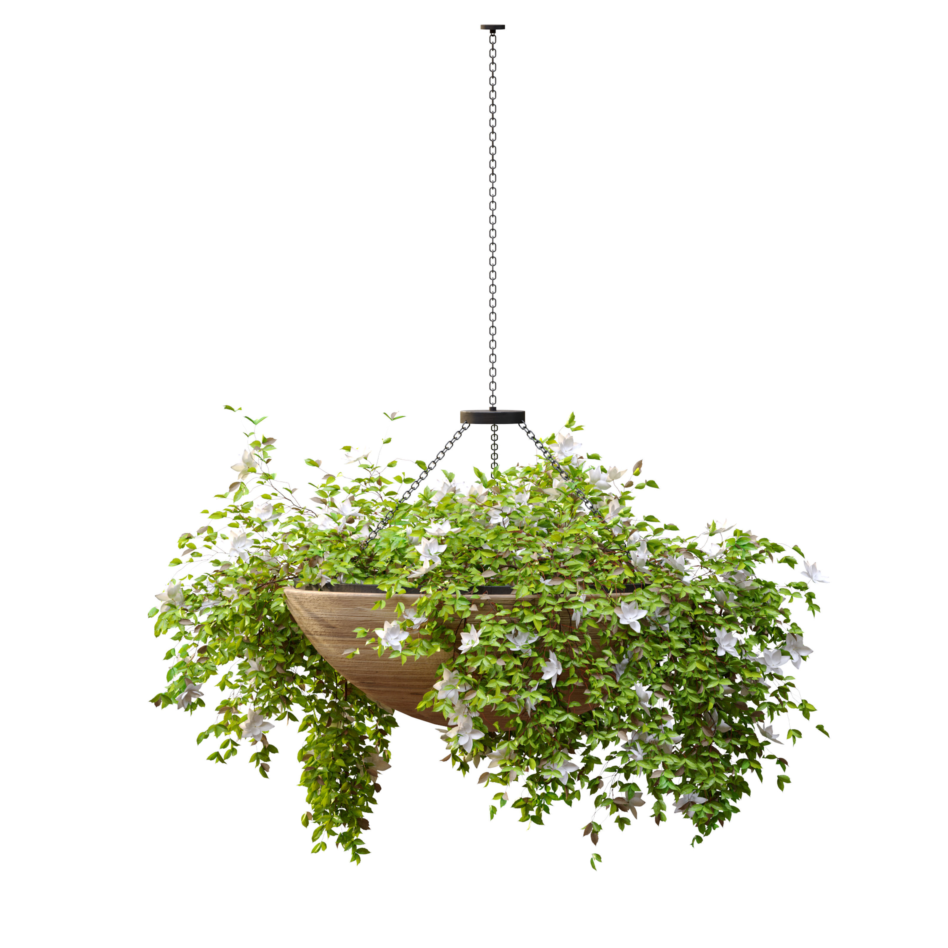 Plant hanger 2 3D model_4