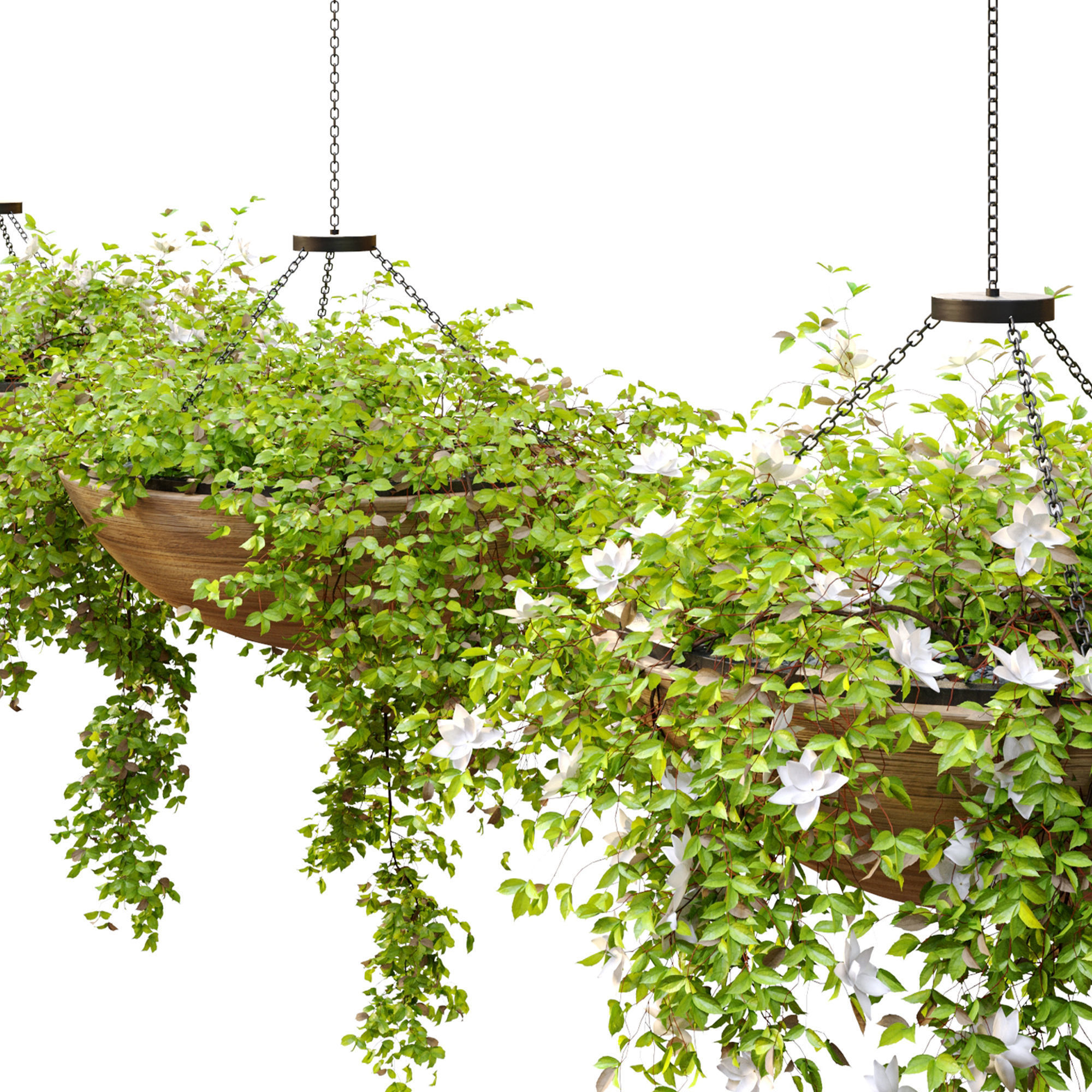 Plant hanger 2 3D model_5